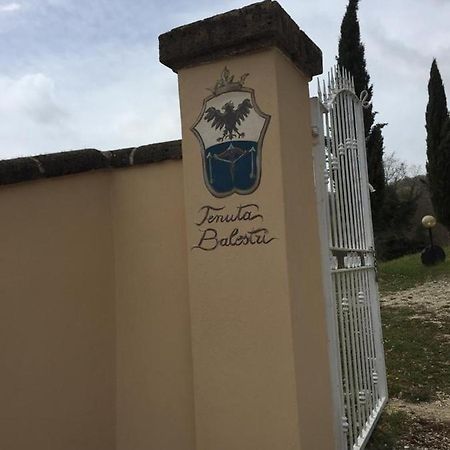 Podere Poggio Lupinaio San Martino sul Fiora ภายนอก รูปภาพ