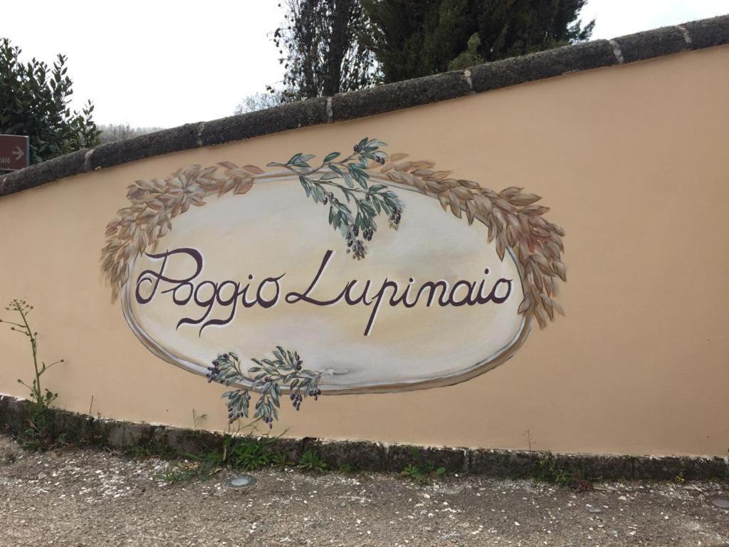 Podere Poggio Lupinaio San Martino sul Fiora ภายนอก รูปภาพ